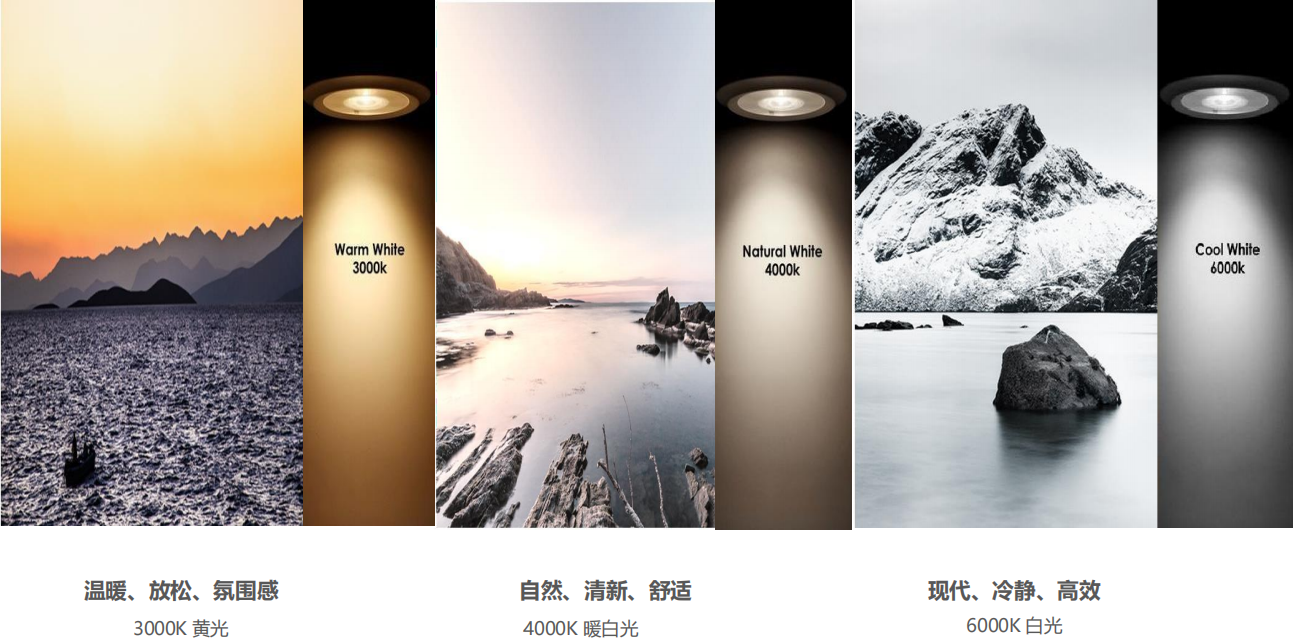 【設(shè)計(jì)案例】普照國康醫(yī)藥辦公室項(xiàng)目概念設(shè)計(jì)——以空間敘事，筑品牌基因(圖26)
